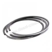 Кольца поршневые John Deere 116 mm AR87753/16011501 STD